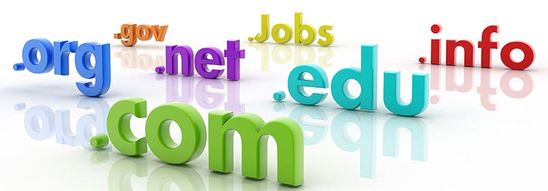 Tipovi internet domena Tipovi internet domena
